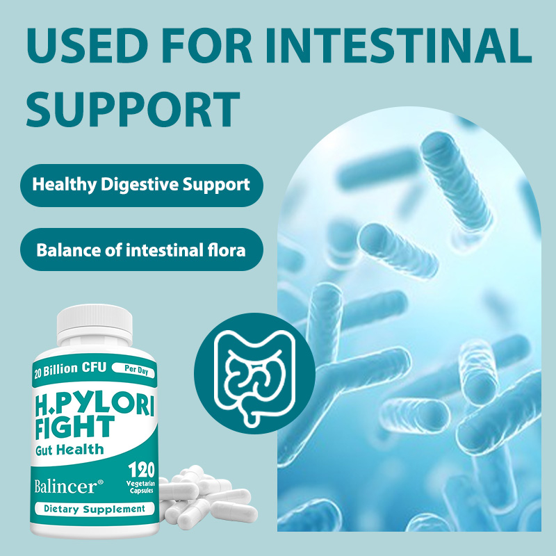 Probiotic 60 Billion - โปรไบโอติกส์ป้องกันแบคทีเรีย H. Pylori 20 พันล้าน CFU