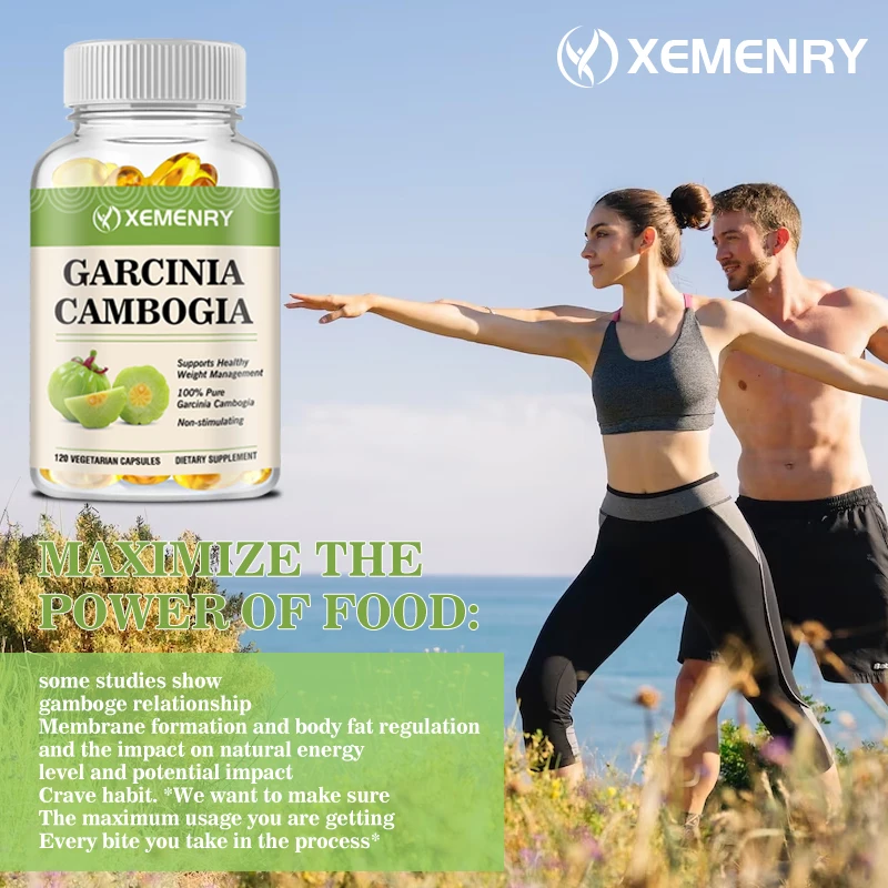 Garcinia Cambogia - การเผาผลาญ - Garcinia Cambogia Extract บทวิจารณ์และราคา